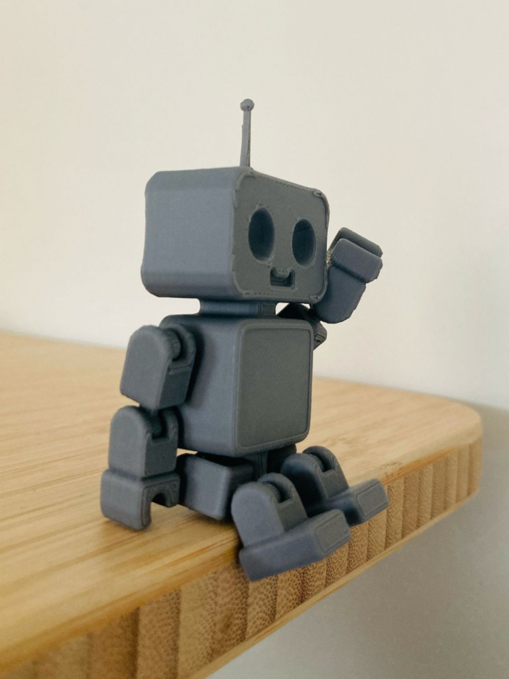 Robot